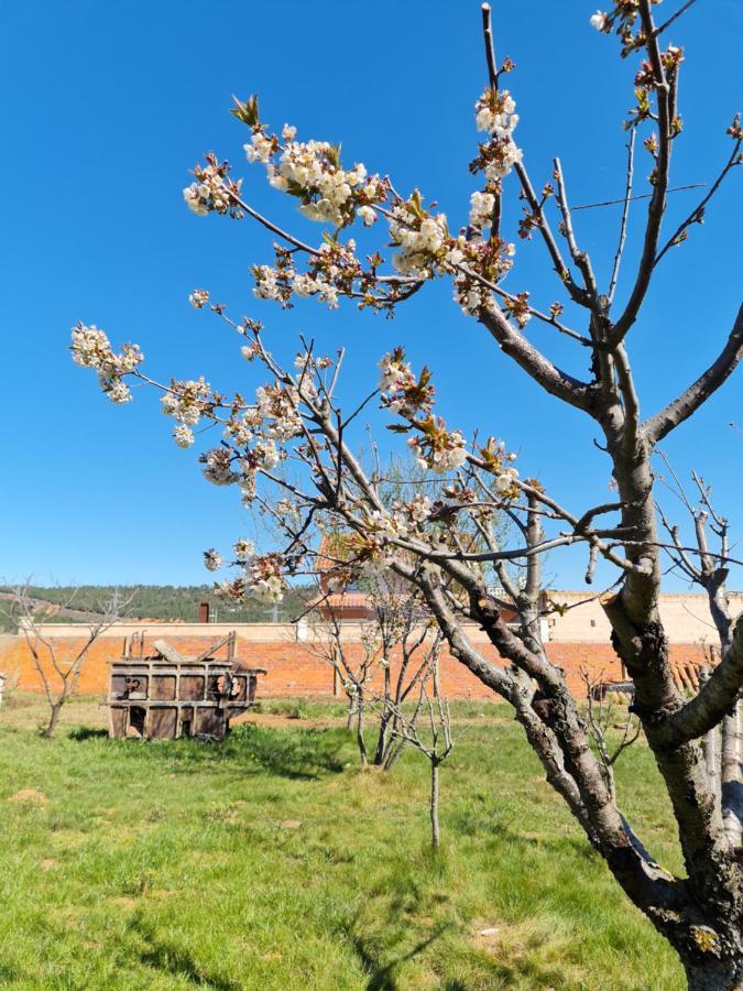 Casa Rural Las Aguedas Murias de Rechivaldo Ngoại thất bức ảnh
